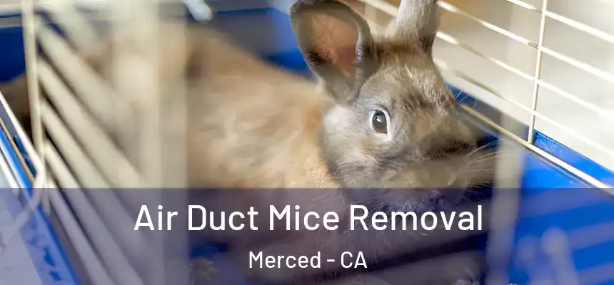 Air Duct Mice Removal Merced - CA