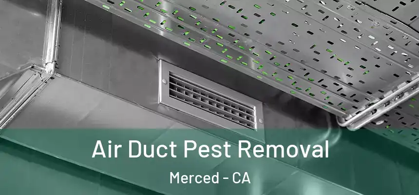 Air Duct Pest Removal Merced - CA