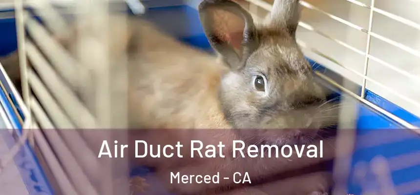 Air Duct Rat Removal Merced - CA