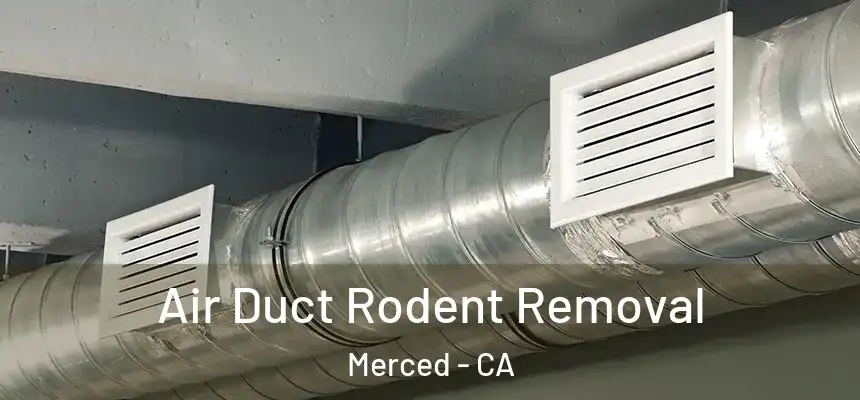 Air Duct Rodent Removal Merced - CA