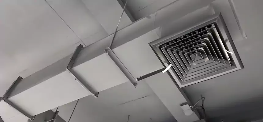 Our Pest Removal From Ducts Services in Merced, CA