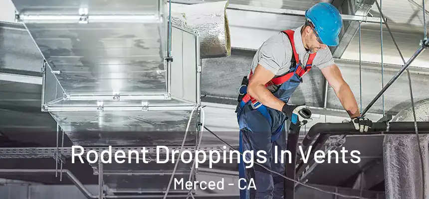 Rodent Droppings In Vents Merced - CA