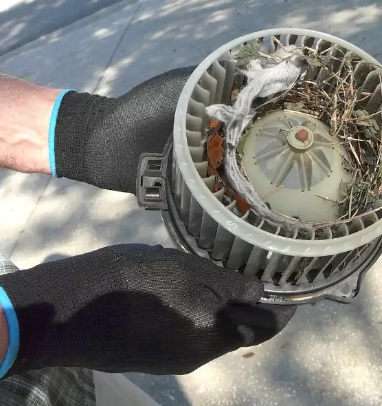 About Air Duct Mice Removal in Merced, CA