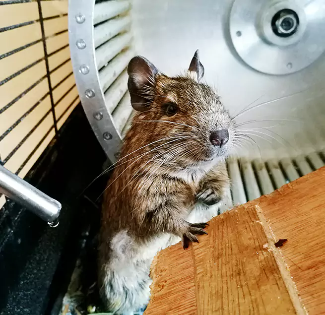 Why Homeowners & Businesses Trust Us Merced, CA?