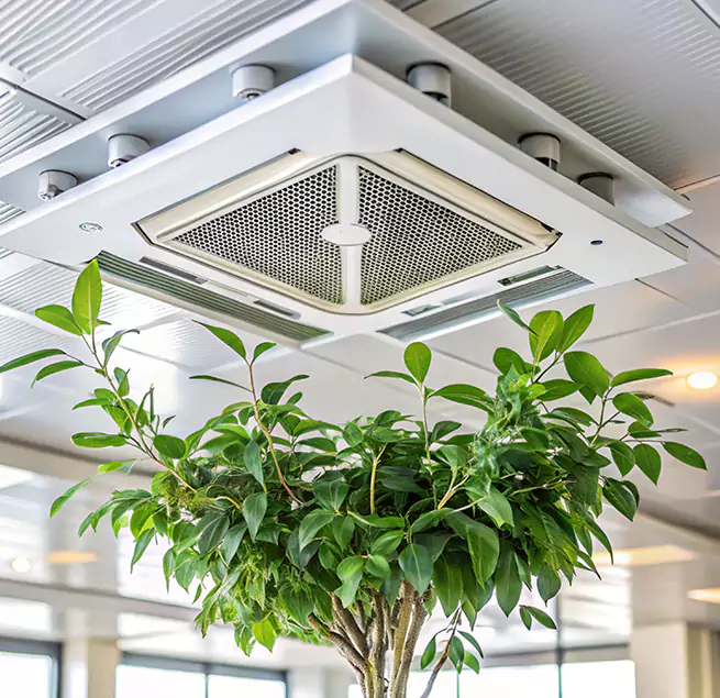 Why Homeowners & Businesses Trust Us in Merced, CA?